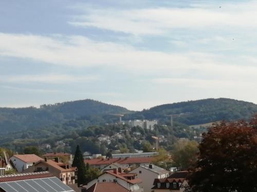 Schöne Wohnung in Deggendorf für 1 bis 5 Personen (Schone Wohnung in Deggendorf fur 1 bis 5 Personen) in Deggendorf