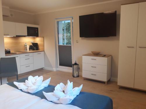 Studio Apartment image 9