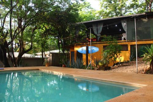 Swimmingpool, Pura Vida MINI Hostel - Tamarindo Costa Rica in Tamarindo