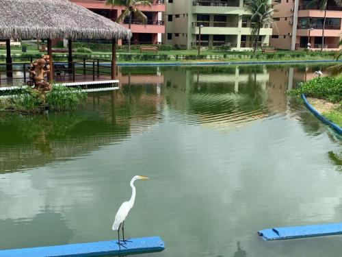 Aquaville - Porto das Dunas in Eusebio