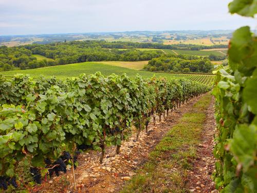 Gîtes La Ferme de Monseignon - image 9