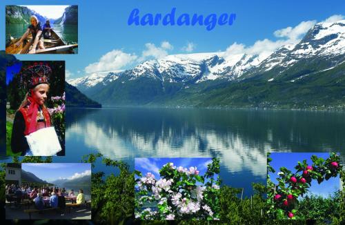 Trolltunga Camping Trolltunga Camping