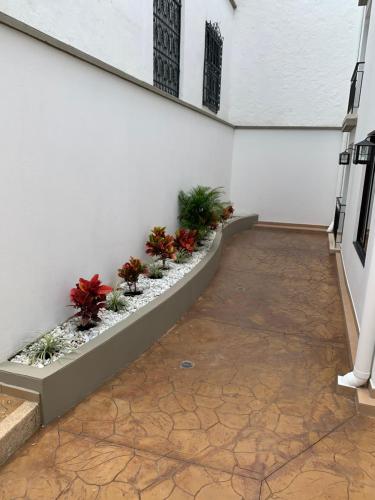 Tu casa en Popayan