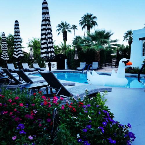 AMIN CASA PALM SPRINGS - image 14