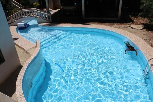 Room in Guest room - A wonderful Beach property in Diani Beach Kenyaa dream holiday place