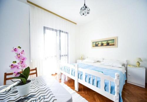 Apartments Ivan Z2 - 250m to beach