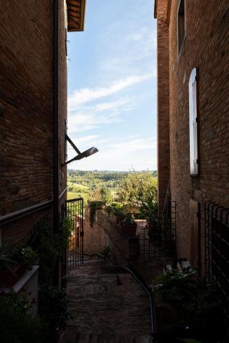 ORANGE Tuscany Flat