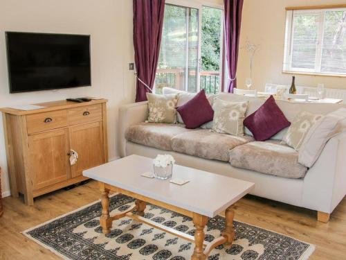 Alder River Lodge Clun Valley Luxury Hot Tub Break in Kluntona