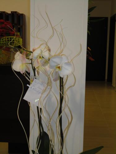 Residence Della Vista - image 3