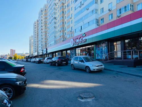 Apartment Plekhanova VIP - image 2