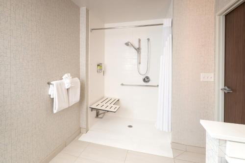 Suite - Mobility Access Roll in Shower/Non-Smoking
