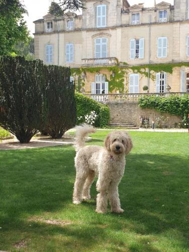 Chateau de Varenne - image 12