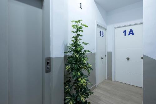 ROSE Apartamentos, Granada (fotografie 4)