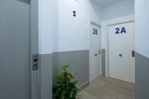 ROSE Apartamentos ROSE Apartamentos