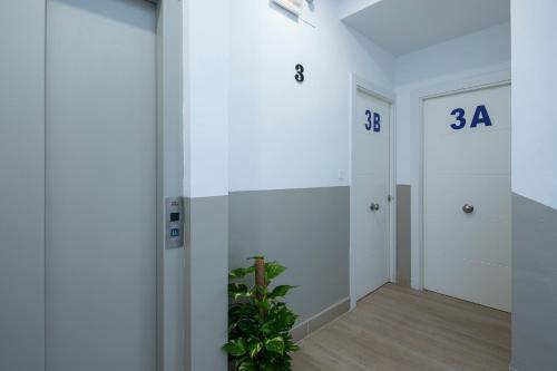 ROSE Apartamentos ROSE Apartamentos