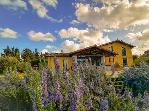  Country House Erba Regina, Frascati bei Castel San Pietro Romano