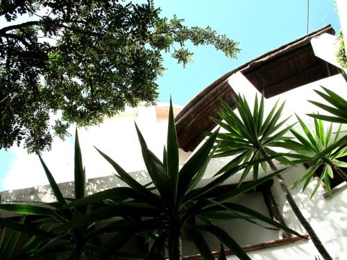 Hotel Pop - image 2