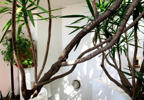 Hotel Pop - image 3