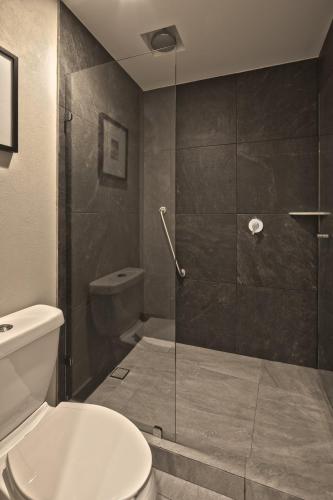 271420399 Gamma Orizaba Grand Hotel de France