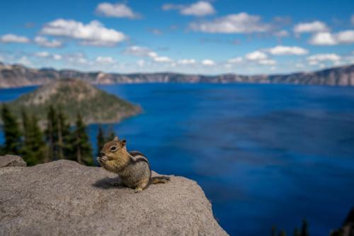 Crater Lake Resort