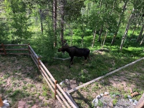 Ten Mile Vista Dog Friendly 4 BDR Home with Hot Tub