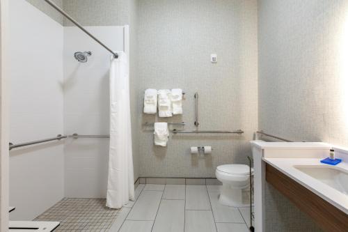 Holiday Inn Express & Suites Greenville S - Piedmont