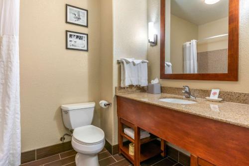 Comfort Inn and Suites Galt - Lodi North