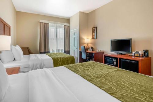 Comfort Inn and Suites Galt - Lodi North