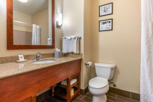 Comfort Inn and Suites Galt - Lodi North