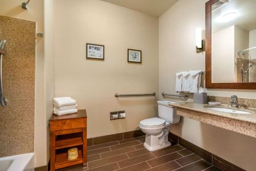 Comfort Inn and Suites Galt - Lodi North