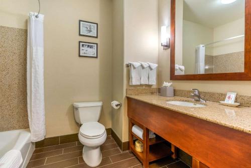 Comfort Inn and Suites Galt - Lodi North