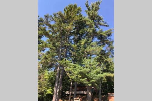 Brown's Beach at Schroon Lake