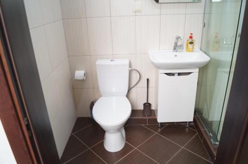 Rosinka - image 7