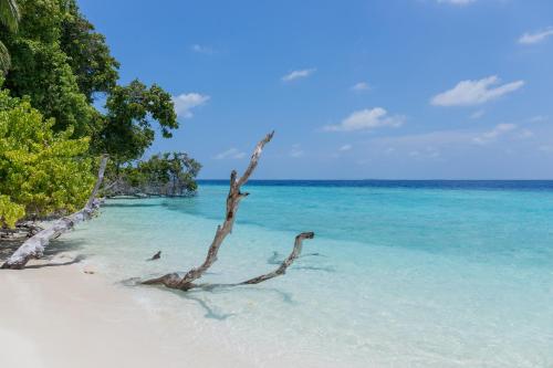 Nihaali Maldives photo 3