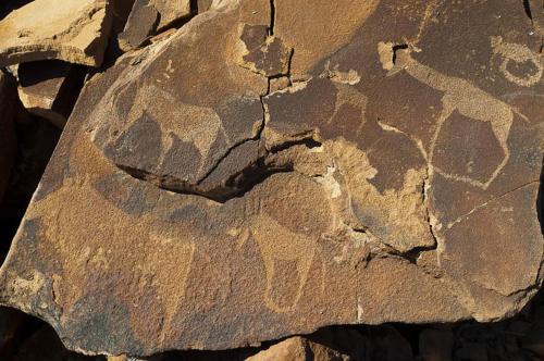 Wilderness Safaris Damaraland Camp