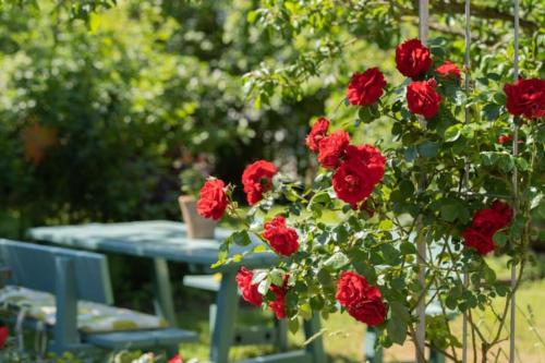 Accommodation in Canton of Solothurn