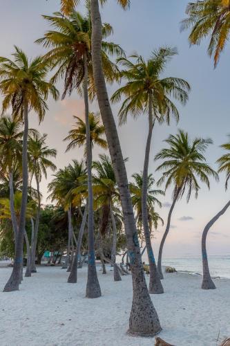 Surrounding environment, Nihaali Maldives in Maldive Islands
