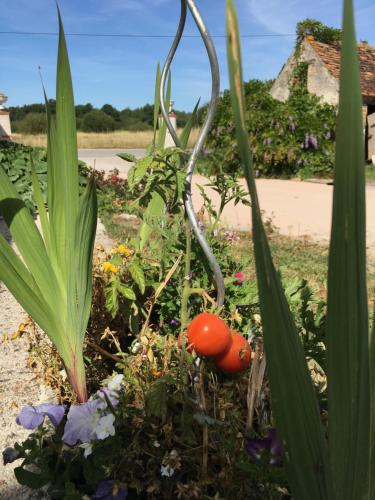 La Ferme de la Maugerie