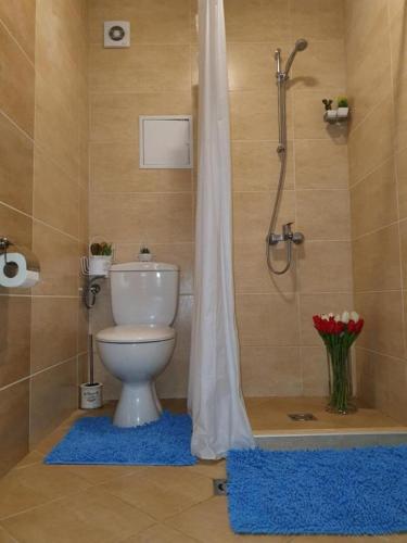 Luxury Apartment in the Heart of Sofia - Free parking