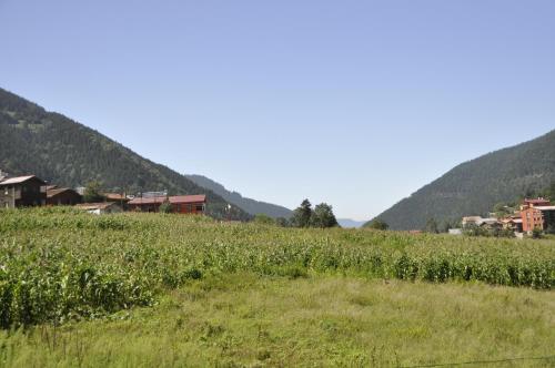 Anemo Suite, Uzungöl (zdjęcie 9)