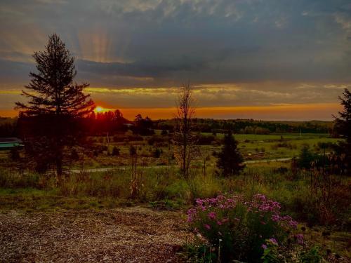 Top of Algonquin Bed and Breakfast