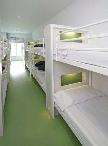 Shared room, mixed dormitory, 14 guests