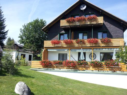 Schwarzwald-Chalet Feldberg