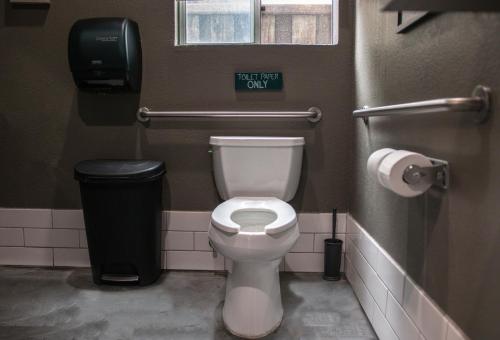 California Dreams Hostel - Pacific Beach - image 3