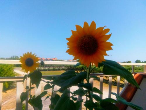 Room in Guest room - Double room for rent with private bathroom chambre d'hôte Marina di Montenero