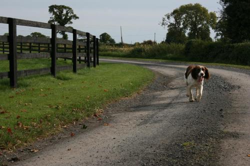 Moate Lodge