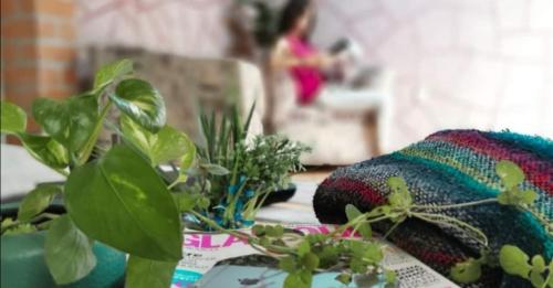 Casa Dahlia Querétaro Casa Dahlia Querétaro