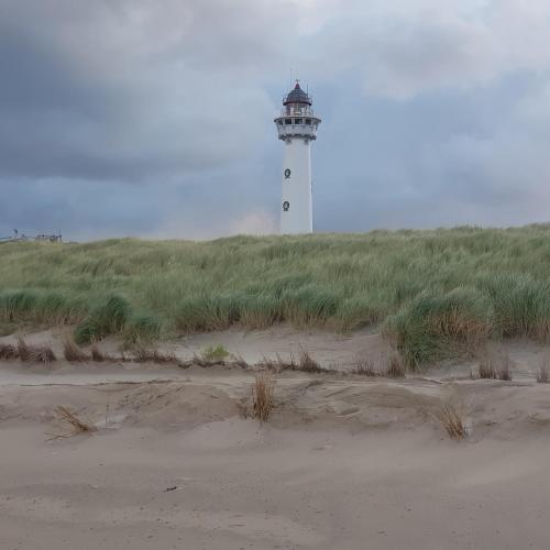 A környék, In de bocht in Vennewater