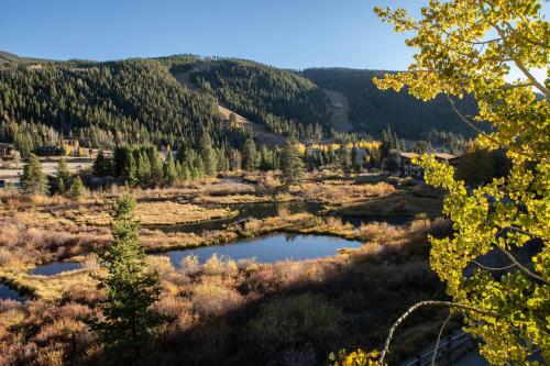 232 Cinnamon Ridge condo in Keystone, USA
