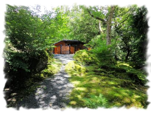 Blelham Tarn Rustic cabin in tranquil woodland 5